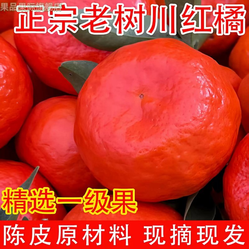 四川红橘古红桔重庆桔子大红袍橘子陈皮当季新鲜水果川桔,水产肉类/新鲜蔬果/熟食,柿子,淘宝优惠券,粉丝福利购,淘宝优惠卷