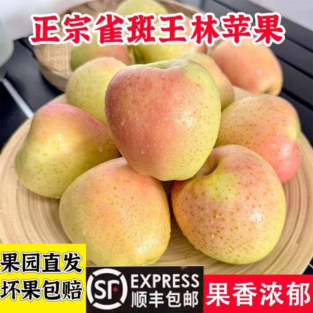 正宗雀斑王林苹果红美人苹果新鲜脆甜当季水果现摘现发丑苹果顺丰,水产肉类/新鲜蔬果/熟食,苹果,淘宝优惠券,粉丝福利购,淘宝优惠卷