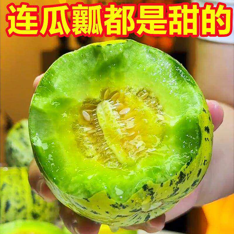 花美人甜瓜八里香花姑娘香瓜新鲜应季时 令水果新鲜现摘脆甜蜜瓜
