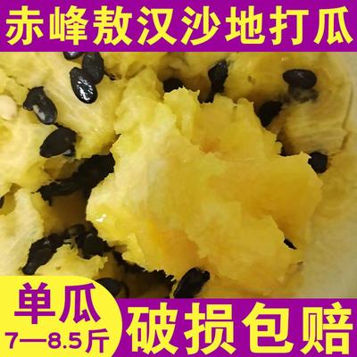 打瓜赤峰敖汉打瓜黄瓤新鲜黄壤水果7.5-8斤单个内蒙古特产大打瓜