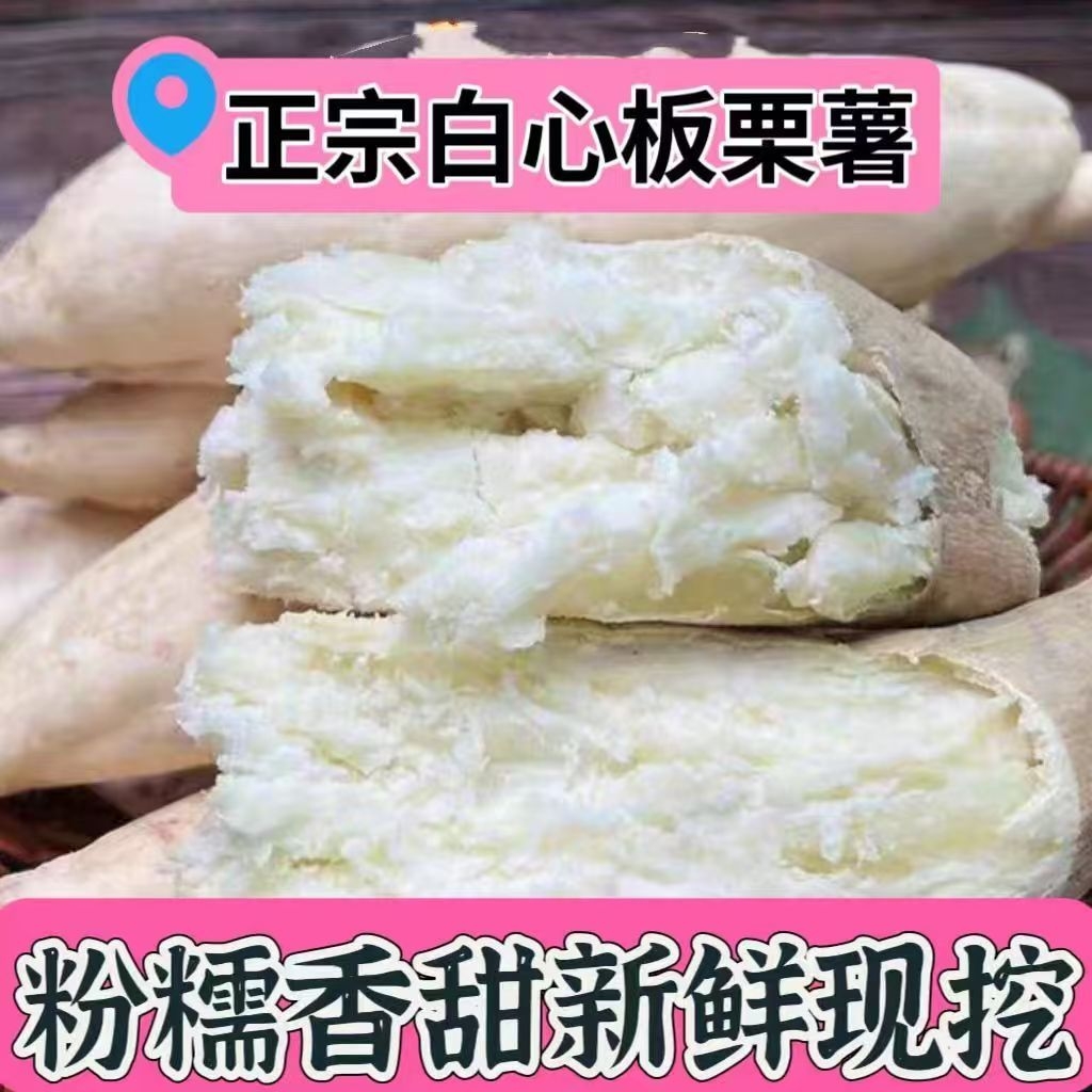 正宗白皮人参薯新鲜粉面番薯5斤牛奶白心地瓜白瓤沙地板栗红薯