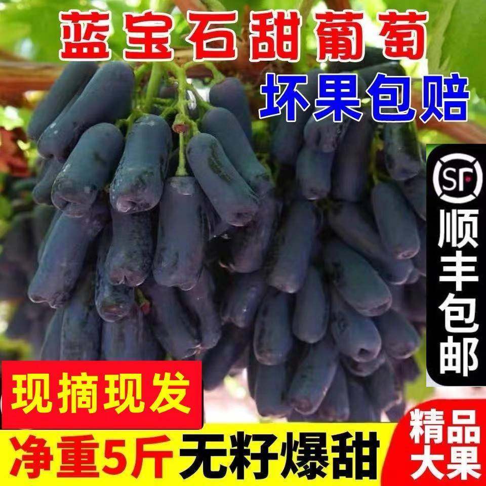 云南金手指葡萄新鲜孕妇水果2斤整箱甜蜜无籽蓝宝石美人指 黑提子,水产肉类/新鲜蔬果/熟食,葡萄/提子,淘宝优惠券,粉丝福利购,淘宝优惠卷