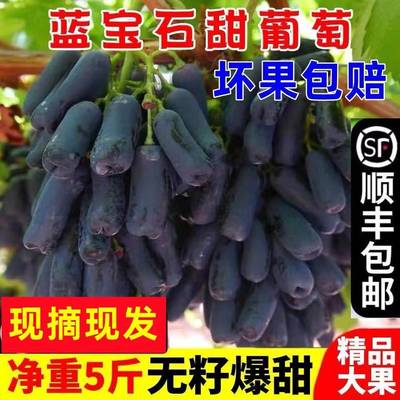 云南金手指葡萄新鲜孕妇水果2斤整箱甜蜜无籽蓝宝石美人指 黑提子