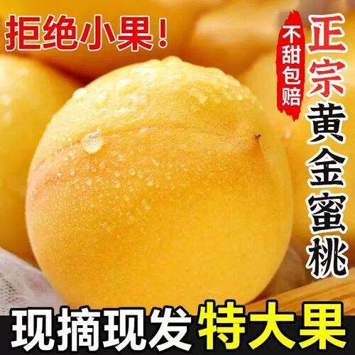 黄桃新鲜水果黄金蜜桃