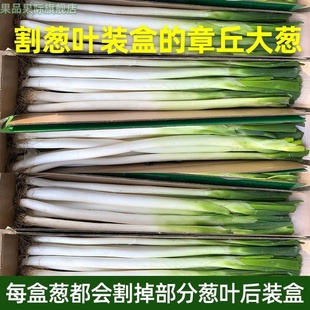 冬储山东正宗章丘大葱精选脆甜微辣蘸酱蔬菜特产礼盒装斤产地直发