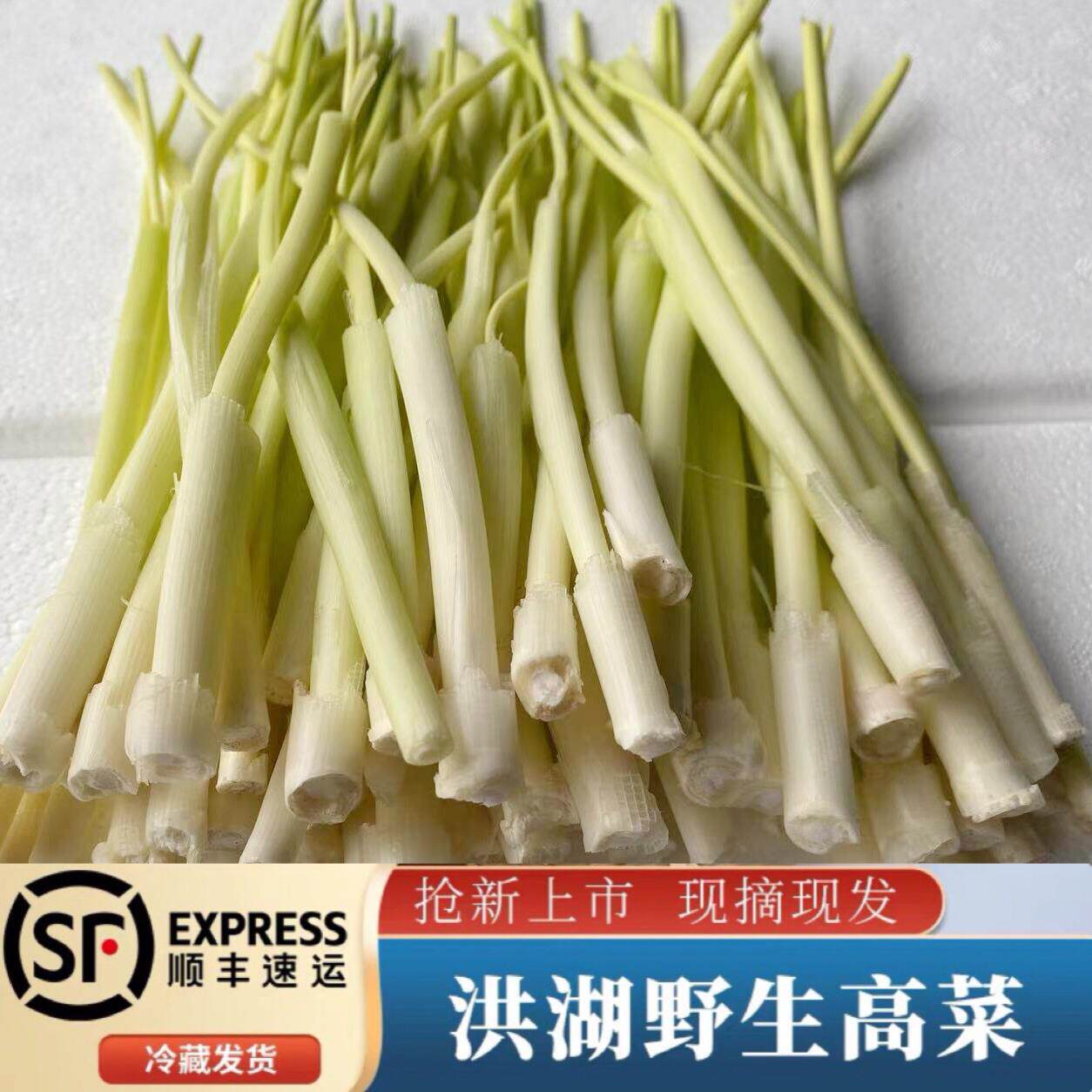 4月净蒲菜鲜嫩野菜茭白湖北名菜新鲜蔬菜蒲笋蒲儿菜水生竹笋