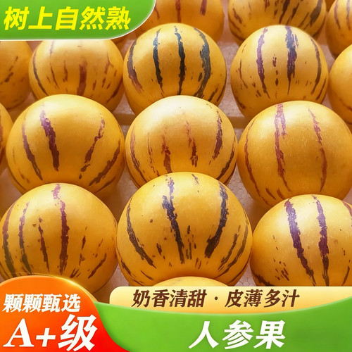 云南人参果大果10斤圆果当季新鲜孕妇水果黄肉人生果整箱包邮