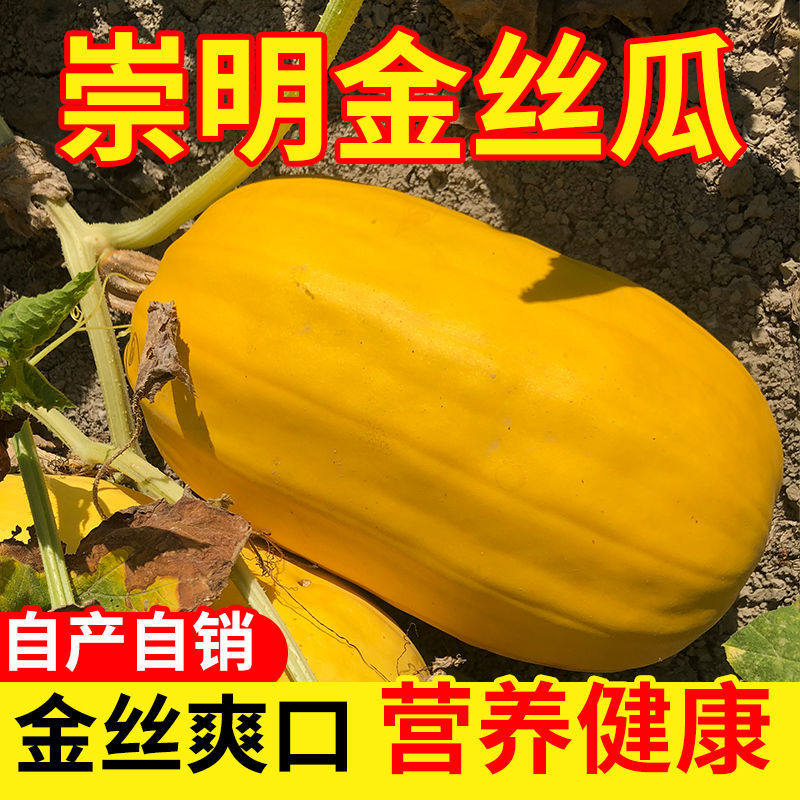 上海崇明岛金丝瓜黄金瓜角瓜搅瓜绞瓜面条瓜鱼翅瓜 凉拌蔬菜