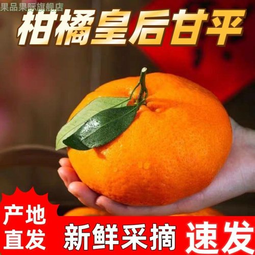 25年新鲜甘平小金牛柑橘皇后当季新鲜水果桔子整箱特级甘甜多汁