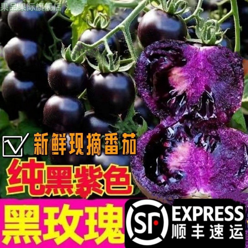 新鲜现摘黑玫瑰番茄黑紫色蓝莓小番茄即食圣女果花青素水果顺丰,水产肉类/新鲜蔬果/熟食,番茄,淘宝优惠券,粉丝福利购,淘宝优惠卷