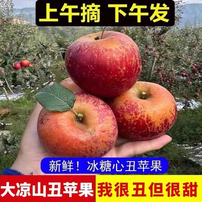 2025正宗大凉山冰糖心丑苹果新鲜水果野生10斤当季产自四川盐源