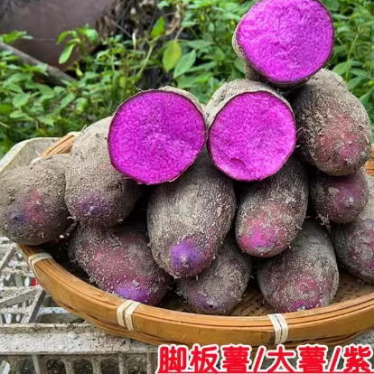 紫山药新鲜5斤脚板薯紫大薯产地江西赣州紫淮山毛薯农产品蔬菜10