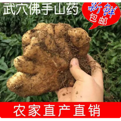 农家现挖5斤佛手新鲜手掌山药产地湖北黄冈浠水武穴蕲春土产3整箱