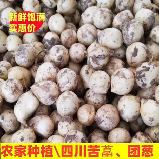 顺丰东北小根蒜野菜产地直销野葱大脑瓜野蒜荞子野蒜即食东北特产