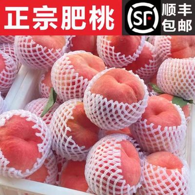 山东泰安肥城肥桃水蜜桃新鲜当季大桃子现摘现发中秋节礼盒顺丰