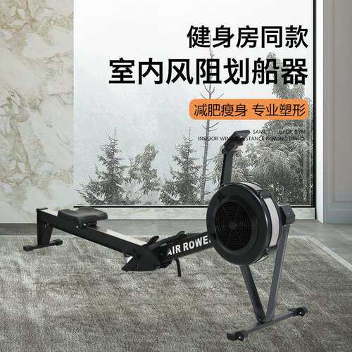风阻划船机家用划船器折叠智能风阻滑雪机C2专业健身房测功仪