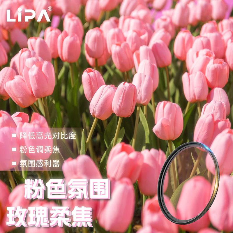 丽拍玫瑰柔焦镜浪漫氛围人像摄影