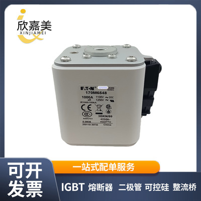 巴斯曼170M6544-6545-6546-6547-6548 快速低压熔断器