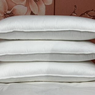 较高有支撑偏硬慢回弹中高枕芯沙漠船鹅毛羽丝枕头喜欢高点的可买