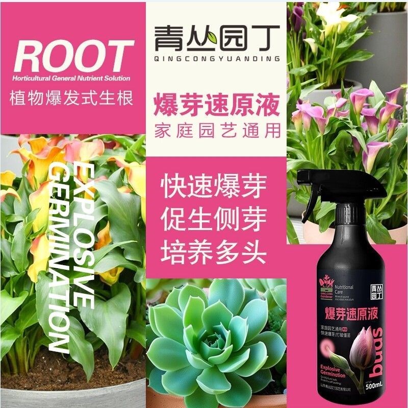 爆芽速原液多芽促芽催芽分化叶插花植物多肉绿植通用型花卉植物