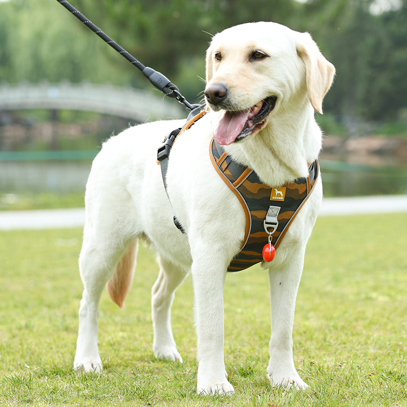 狗狗牵引绳背心式狗胸背带外出牵狗绳中大型犬可调节宠物遛狗绳子
