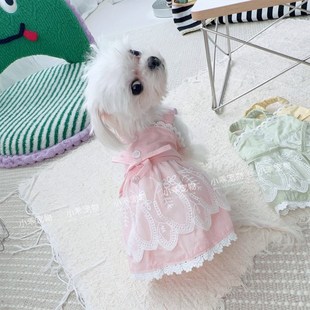 三色吊带裙 宠物狗狗泰迪约克夏比熊小型犬两脚衣服 裙子