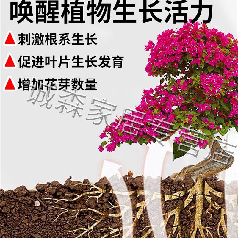 三角梅复活液植物专用开花肥强力生根剂黄叶光杆养花营养生根药水