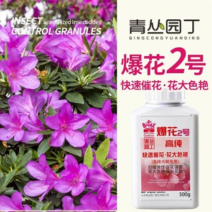 青丛园丁爆花粉2号开花促进花芽分化快速开花花大色艳开花粉通用