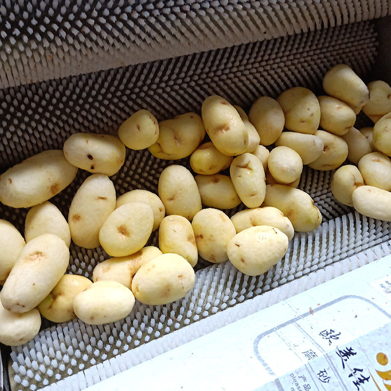 土豆去皮机全自动土豆毛辊清洗机食堂中央厨房电动商用土豆脱皮机