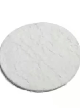 Dionex 100/150/200/300/350 萃取池过滤器 056781 赛默飞耗材