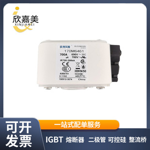 170M6461 170M6462 170M6463全新 低压熔断器 标准封装 库存充足