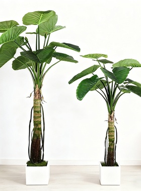 大型仿真绿植滴水观音盆栽客厅家居落地装饰摆件户外庭院造景植物