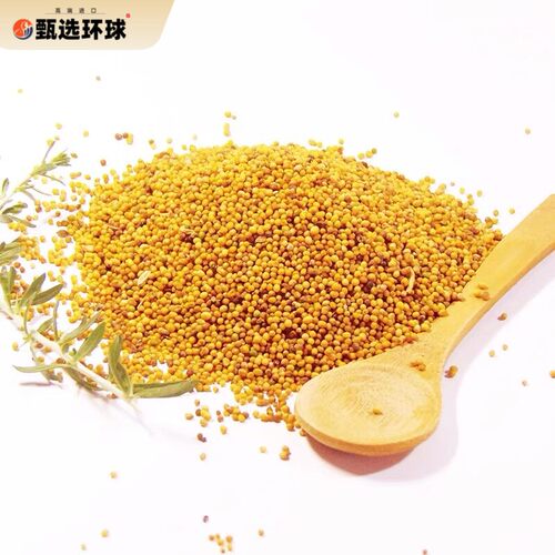 黄芥籽 黄芥子 Yellow mustard seed mustard seeds 50g