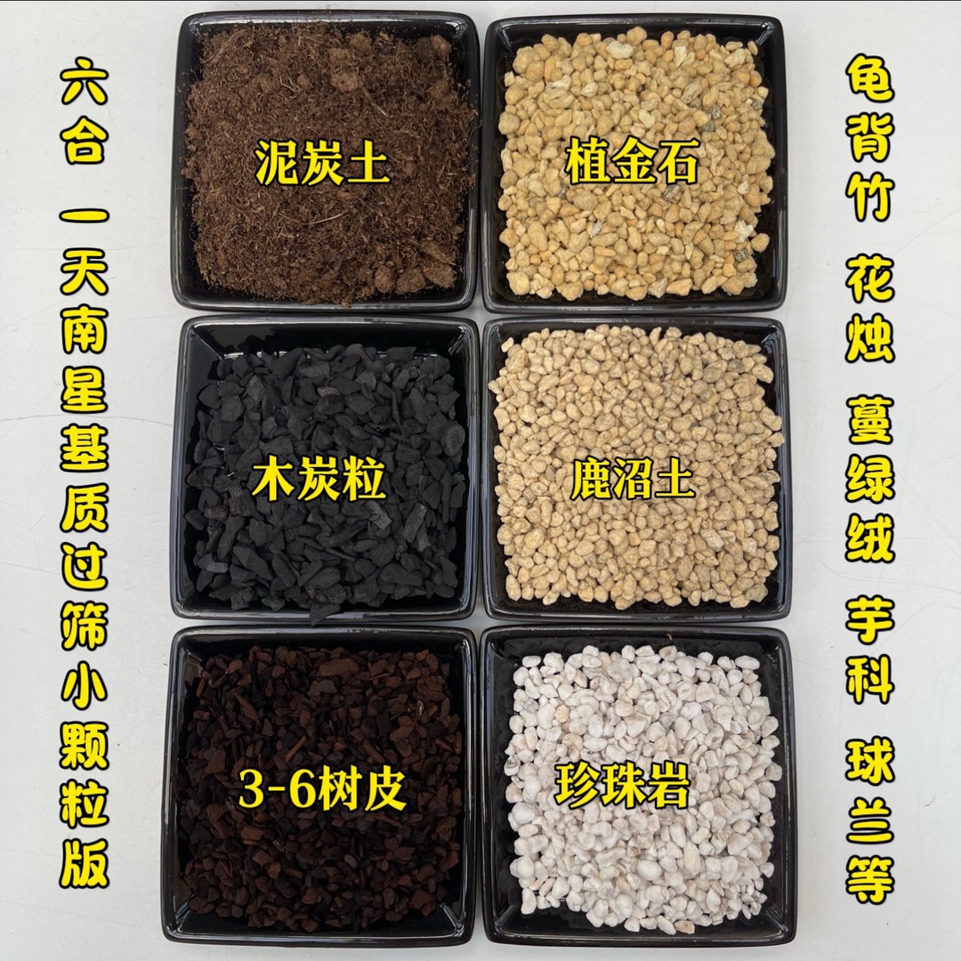 过筛版小颗粒天南星科栽培基质 绿天鹅 芋科 彩叶芋 蔓绿绒秋海棠