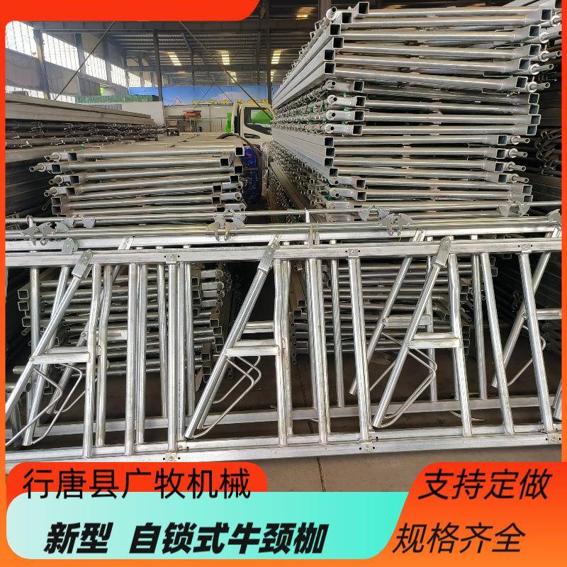 供应牛颈枷畜牧机械养殖设备牛颈枷单开双开牛颈枷奶牛
