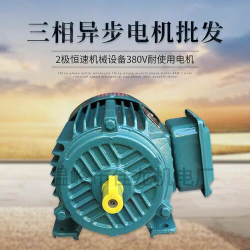 三相1.5四极电动机坚实耐用铜芯线功率足国标