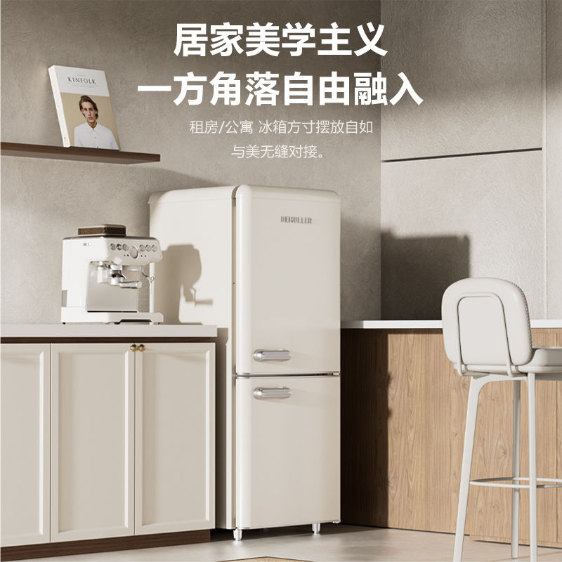 家庭用小冰箱德姆勒复古冰箱迷你小型网红高颜值家用双门冰箱静音