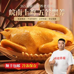 不土包赔竹林365天散养老母鸡皖南土鸡 卤制 营养 拒绝科技狠活