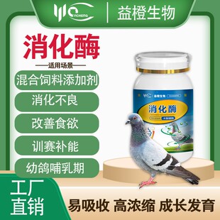 益橙 消化酶 赛鸽种鸽肉鸽用消化