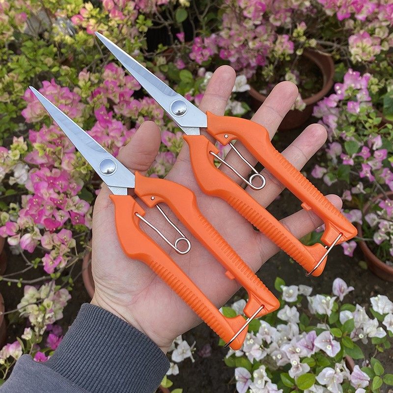 摘果剪花枝修剪修枝修花树剪刀修枝剪剪树枝花剪强力剪枝专用剪刀,鲜花速递/花卉仿真/绿植园艺,剪刀,淘宝优惠券,粉丝福利购,淘宝优惠卷