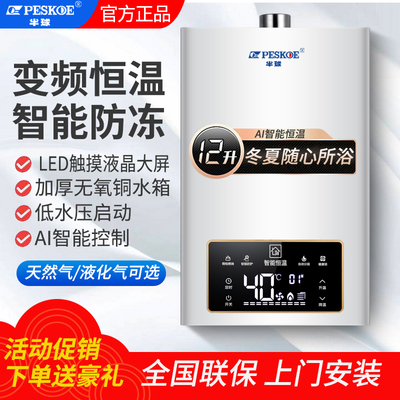 半球燃气热水器天然气家用16升智能恒温强排式液化煤气平衡式增压