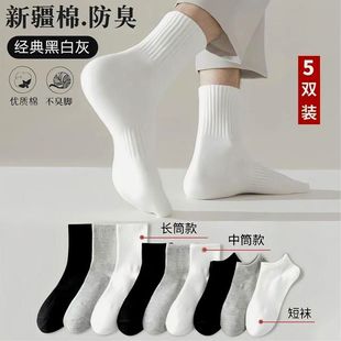 100%新疆棉 全棉男女短袜短中长筒纯色棉袜吸汗透气防臭优质