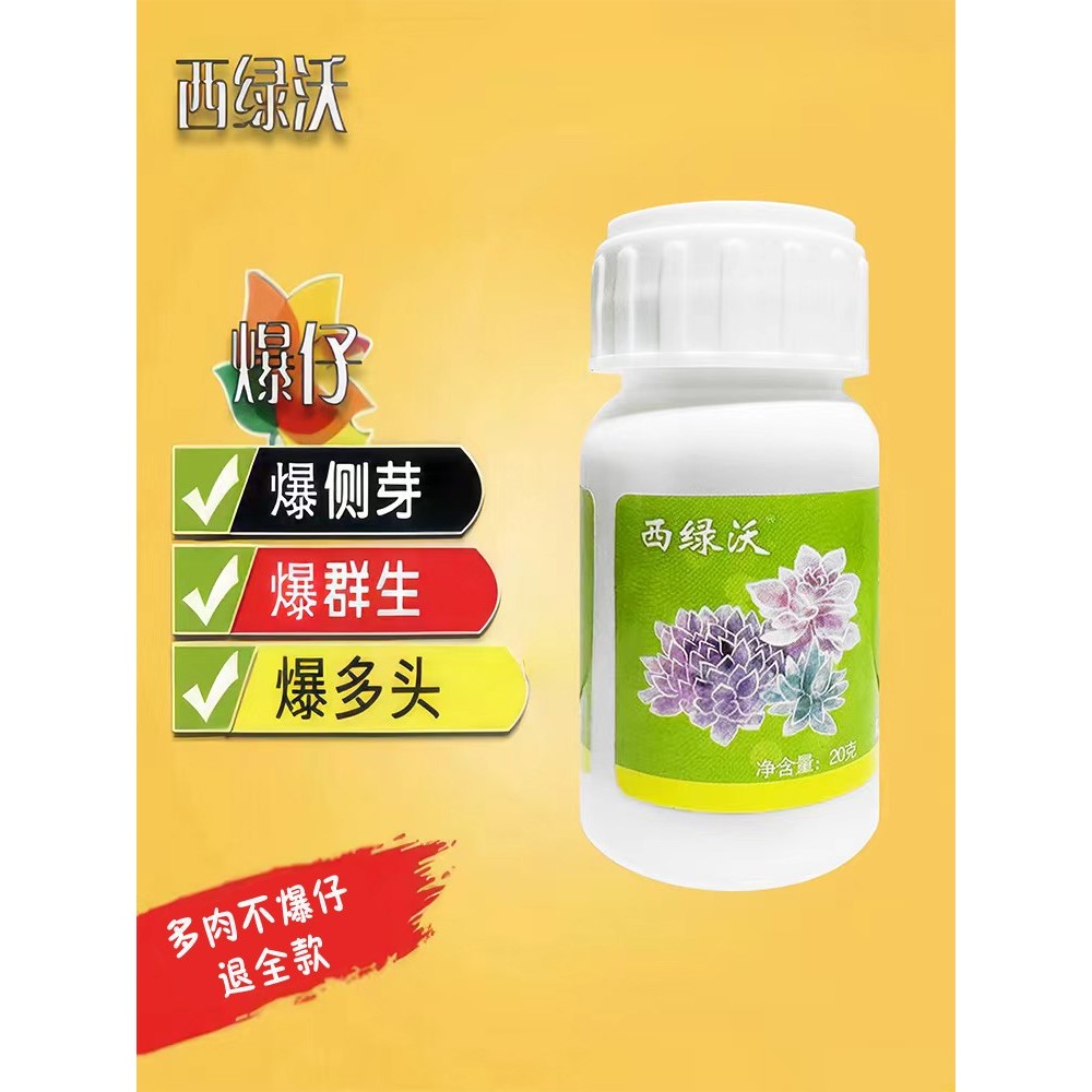 不爆仔！退全款！（西绿沃）崽多多20克多肉植物爆仔促芽催芽专用