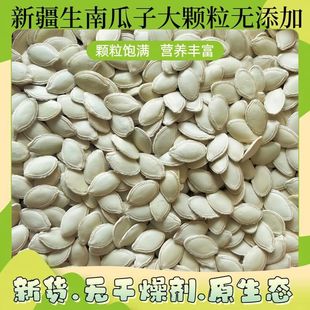 新疆生南瓜籽南瓜子原味零食坚果新货生南瓜子大颗粒特大白南瓜子