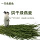 25年烘干燕麦草新草优质牧草适合兔子猪龙猫等宠物食用国产绿燕麦