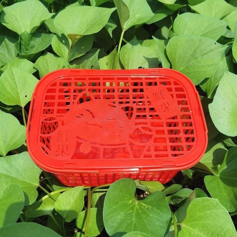 3斤装塑料水果篮草莓篮子杨梅篮樱桃篮荔枝篮鸡蛋真空包装带盖子