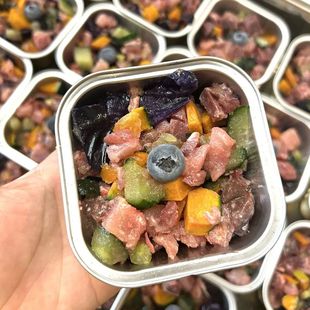 猫饭分装盒宠物食物分装盒一次性可蒸煮冷冻微波加热食品密封保鲜