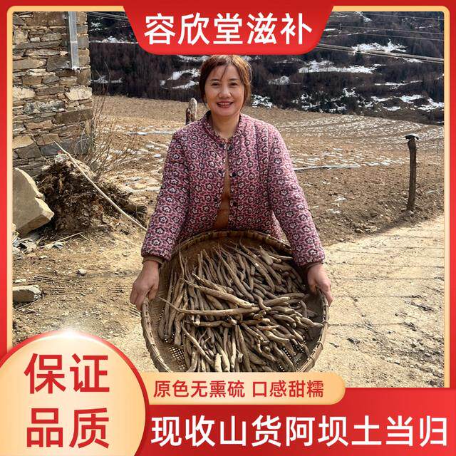 现收山货 阿坝高山高海拔土当归 藏当归 甜当归 整根独角当归