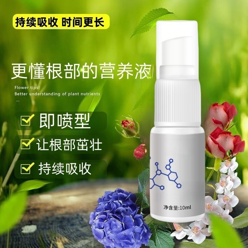 植物着壮根茎萃取精华液DD-1