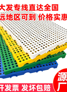 加厚垫板塑料防潮板仓储隔板超市储货板宠物隔潮板蓝色黄色绿垫板